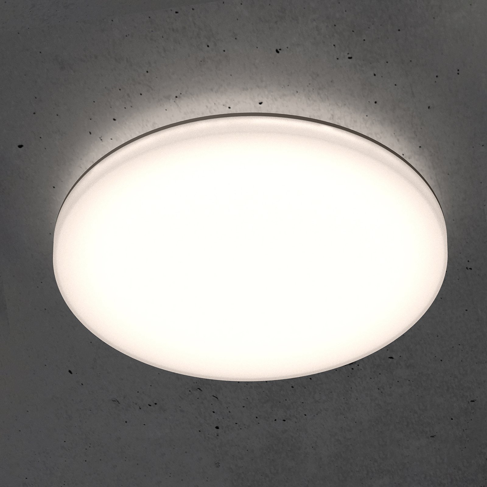 STEINEL RS PRO R30 basic SC LED ceiling lamp Ø 42cm
