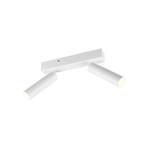 LED plafondspot Ambala, 2-lamps, wit, metaal, CCT, dimbaar