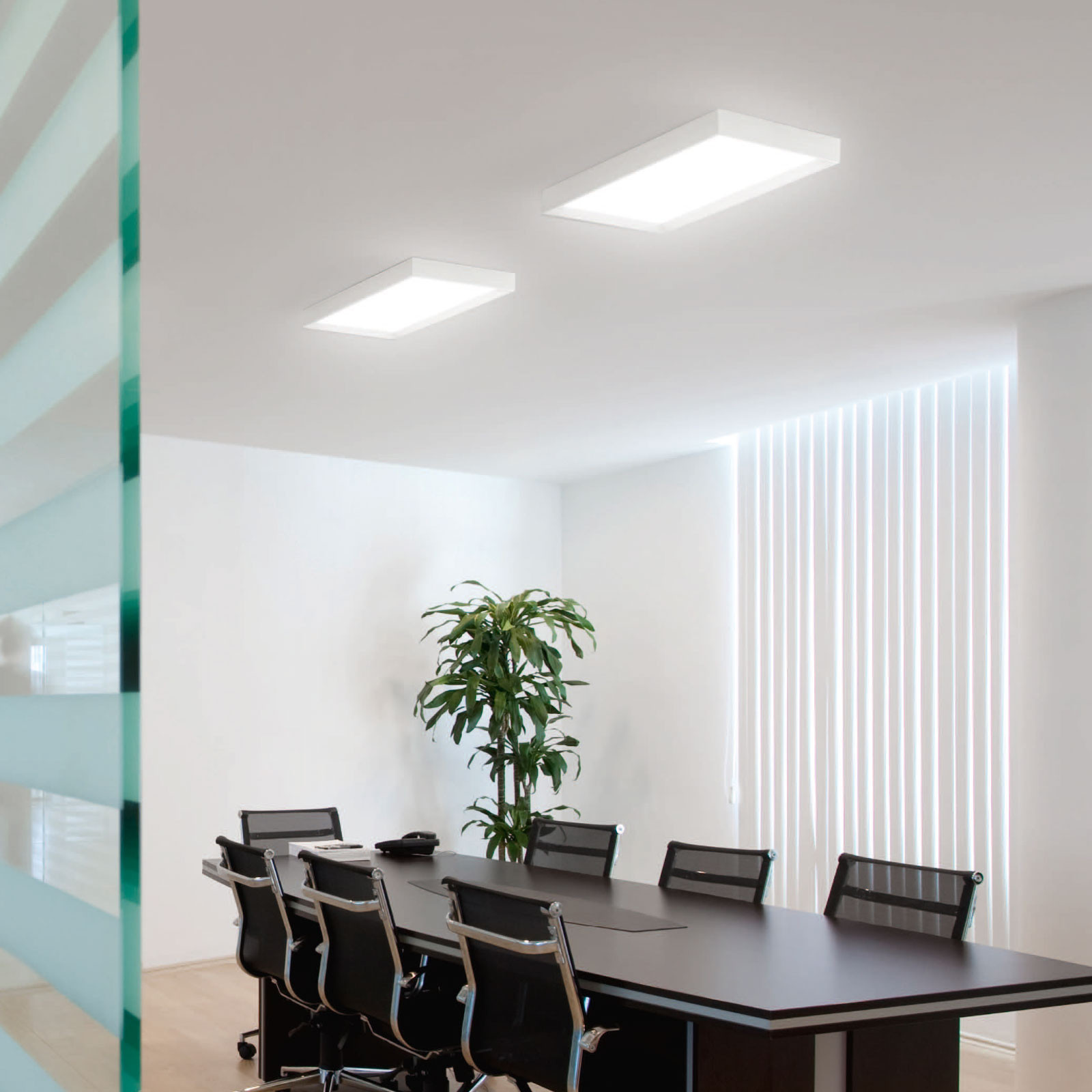 Linea Light Plafonieră LED Tara dimabilă 54 x 29 cm - Camera de zi / sufragerie - modern - alb - Metal