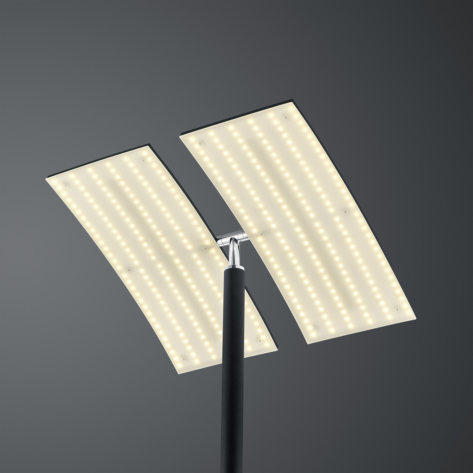 Lampe sur pied LED Dual CCT, intensité lumineuse variable, noir