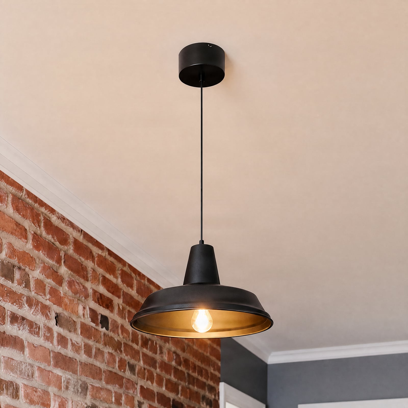 Class pendant light, black/black