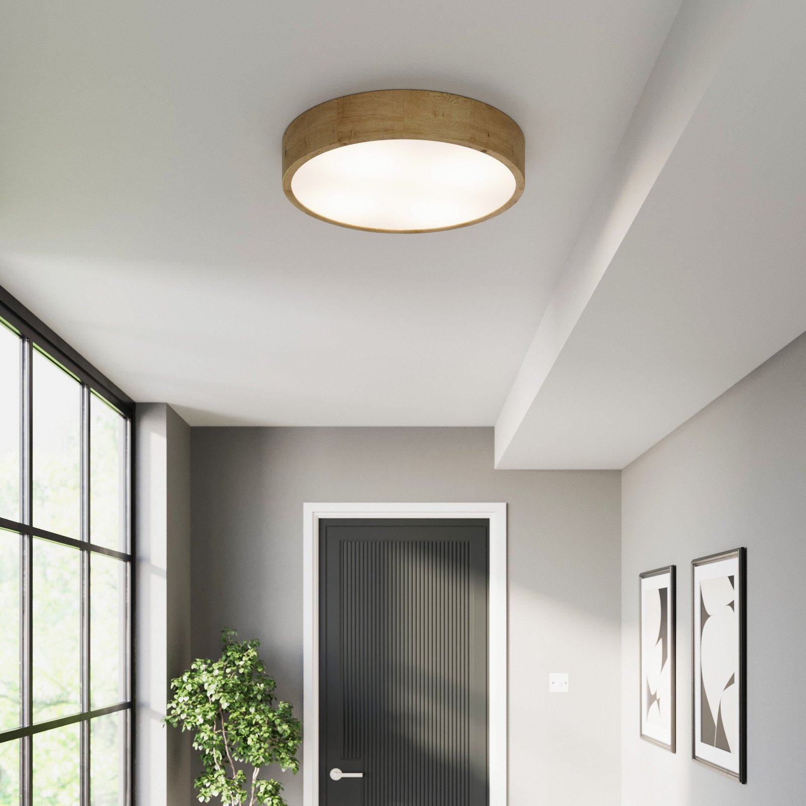 TEMAR LIGHTING Plafonieră Cleo Ø 48 cm 4 becuri lemn de stejar E27 - Camera de zi / sufragerie - modern - Sticlă
