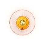 New Wave Optic Væglampe Rose/Gold - Design By Us