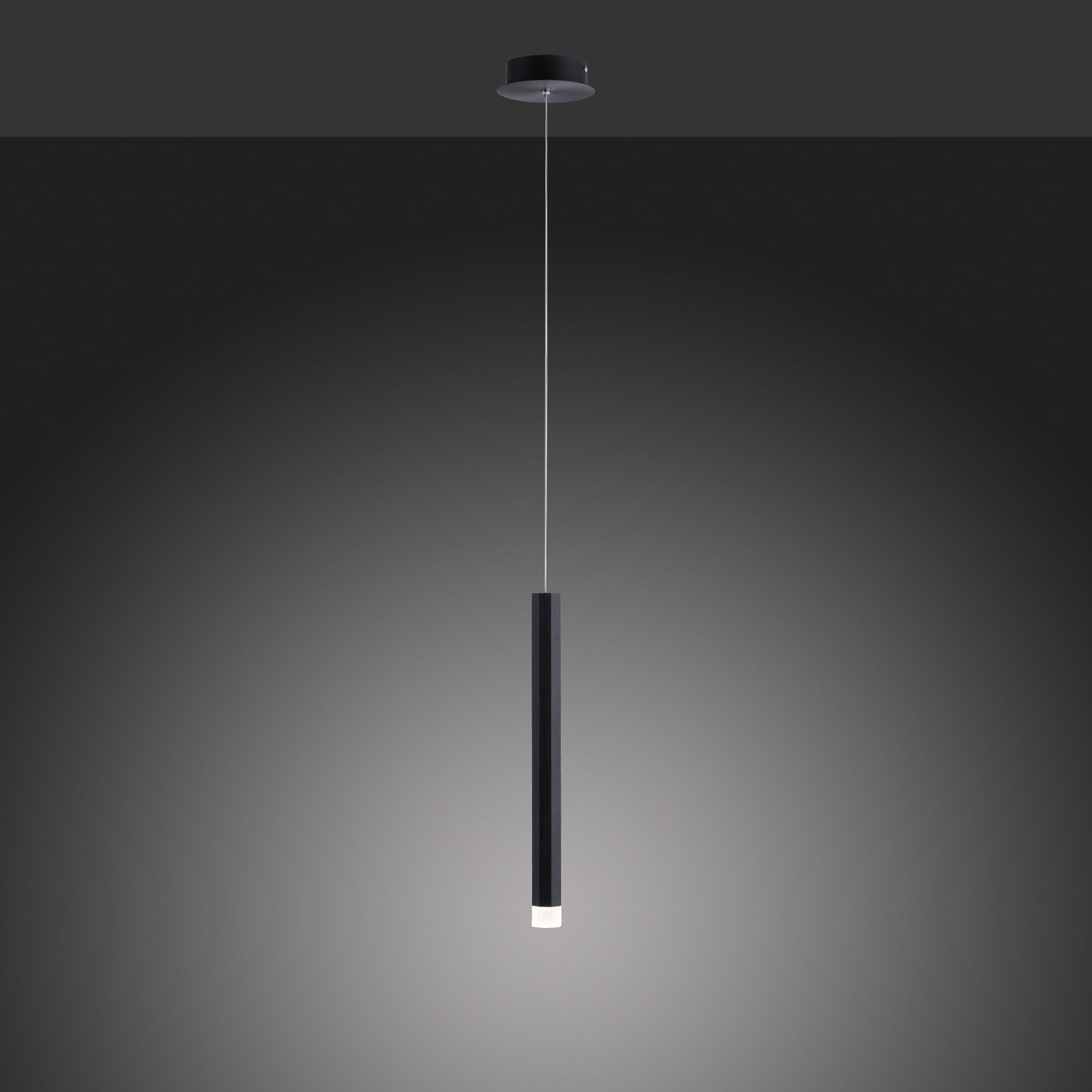 Lampada LED a sospensione Bruno, 1 luce, nero