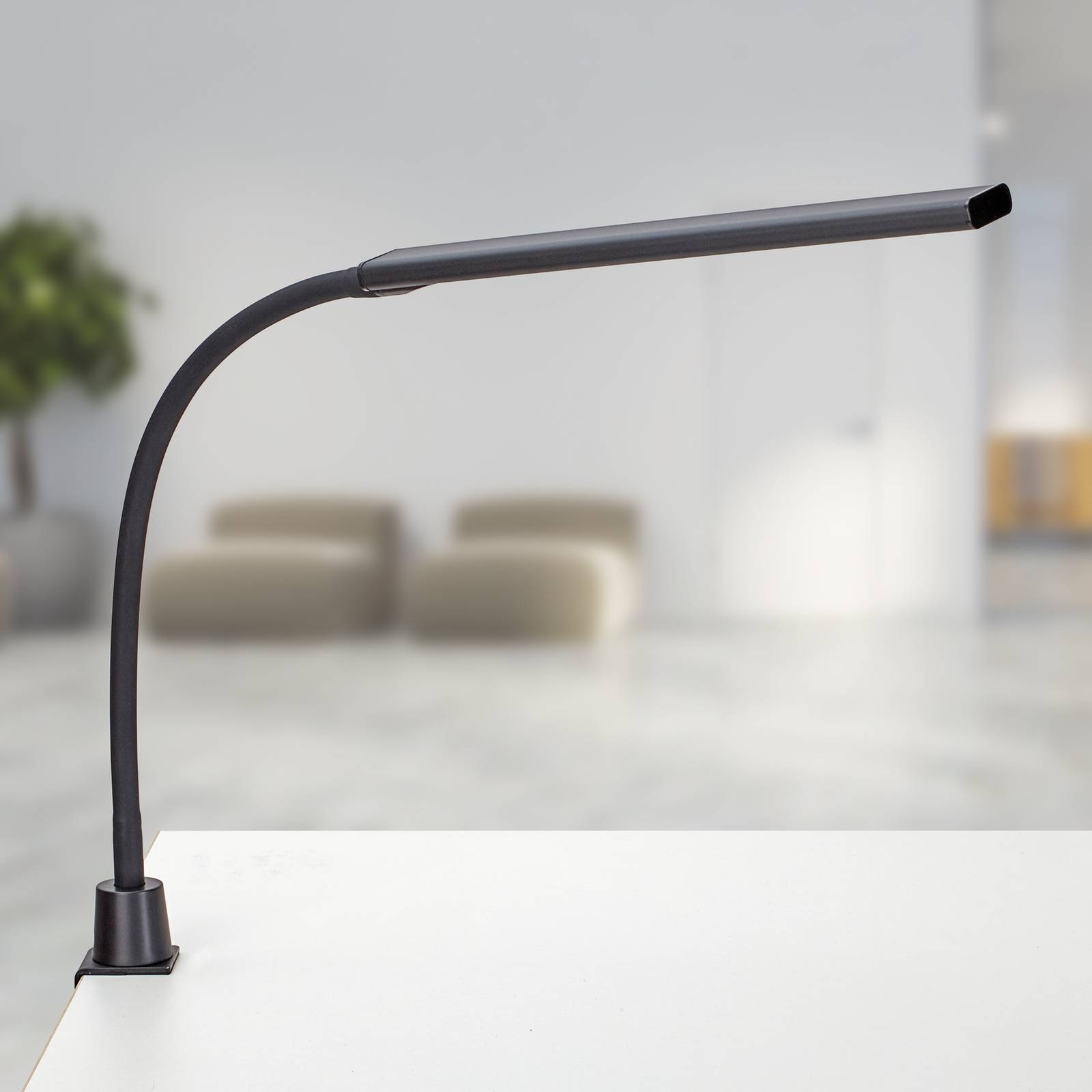 Lampe à pince MAULpirro dimmable, noire