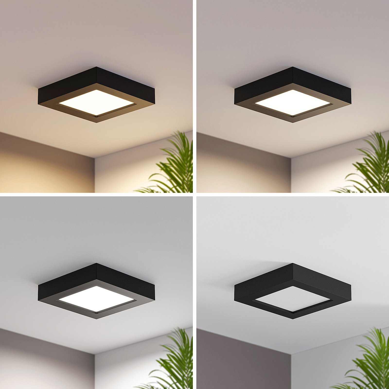 Prios Alette LED ceiling lamp, black, CCT, 12 W