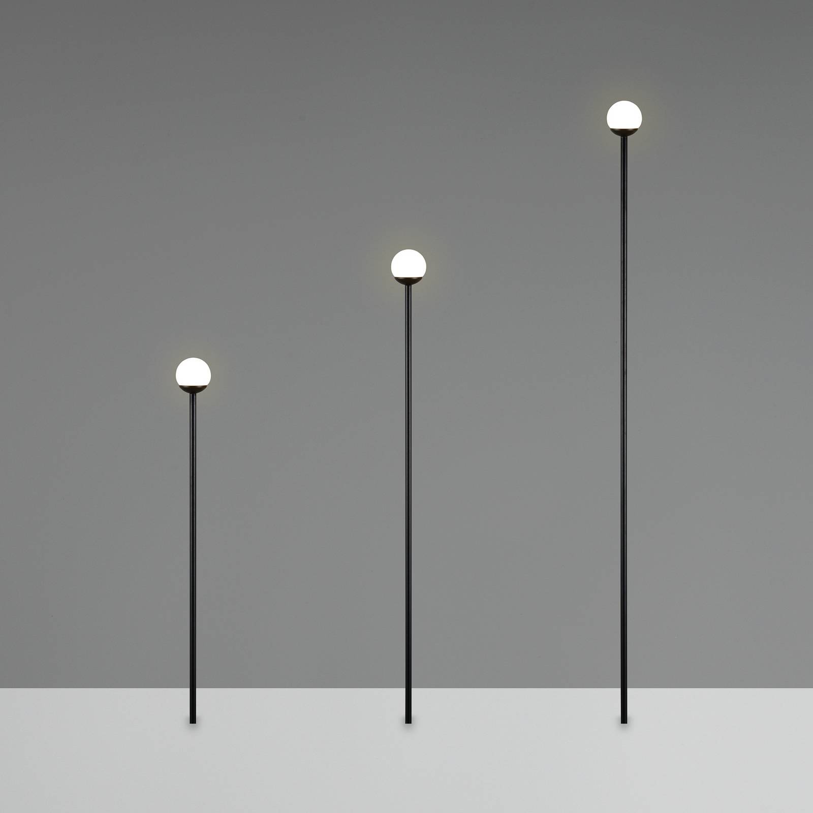 Reality Leuchten Lampe sur piquet LED SCOOP, noir, à 3 lampes, IP44, fiche