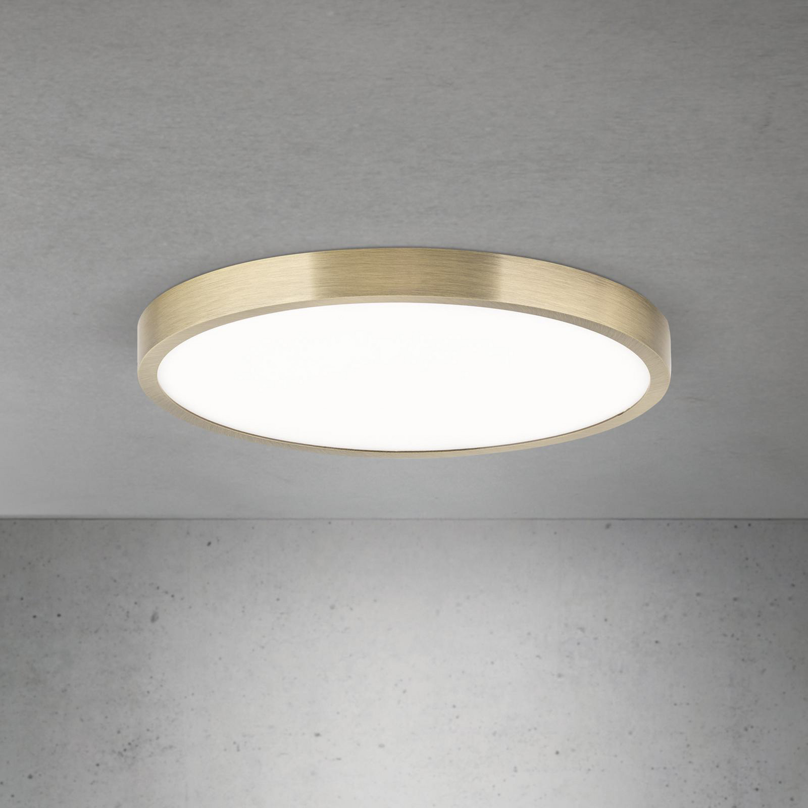 ORION Plafonieră LED Disc culoare alamă antică Ø 28 cm CCT - Camera de zi / sufragerie - Modern - alamă antică alb - Aluminiu