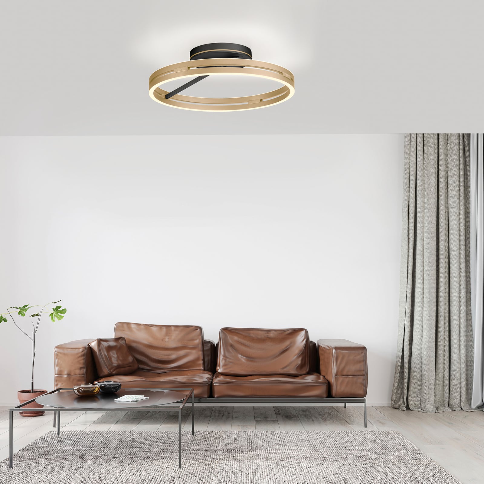 Loop LED-Deckenlampe, black/ivory gold, Ø 60 cm, CCT - PURE Loop LED-Deckenlampe, black/ivory gold, Ø 60 cm, CCT - PURE