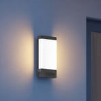 STEINEL L 271 DIGI C-LED-utomhusvägglampa