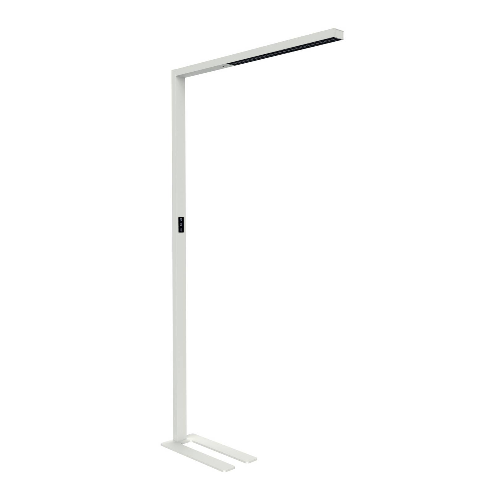 LED-Sensor-Stehlampe MAULsirius, weiß, CCT, dim, Standfuß