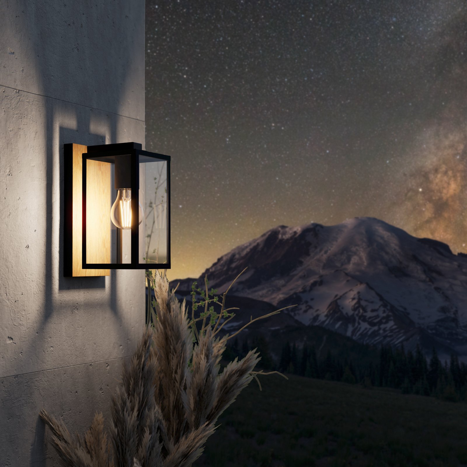 EGLO Budrone utomhusvägglampa, svart/brun/klar