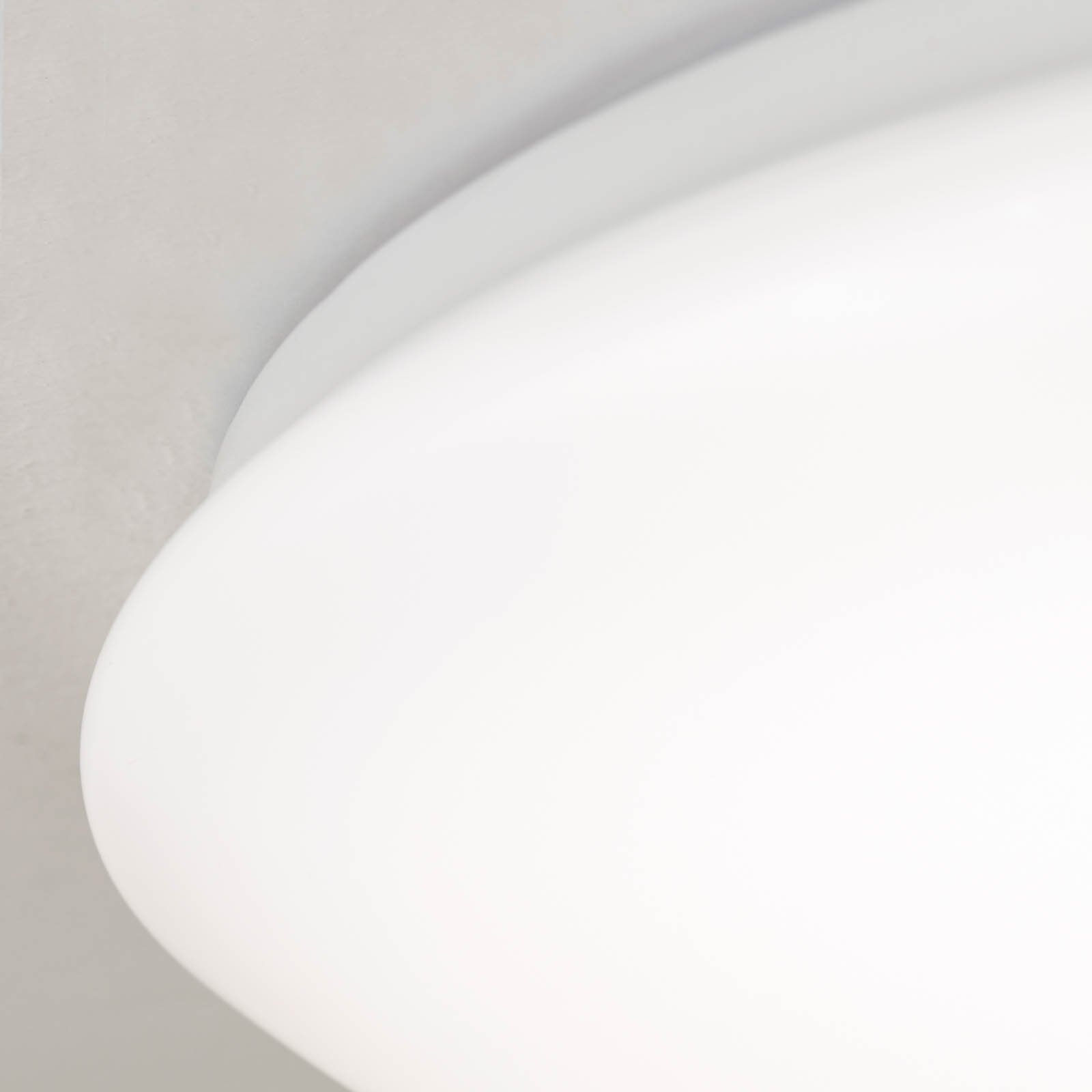 LED stropné svietidlo Nedo zakrivené, Ø 33 cm