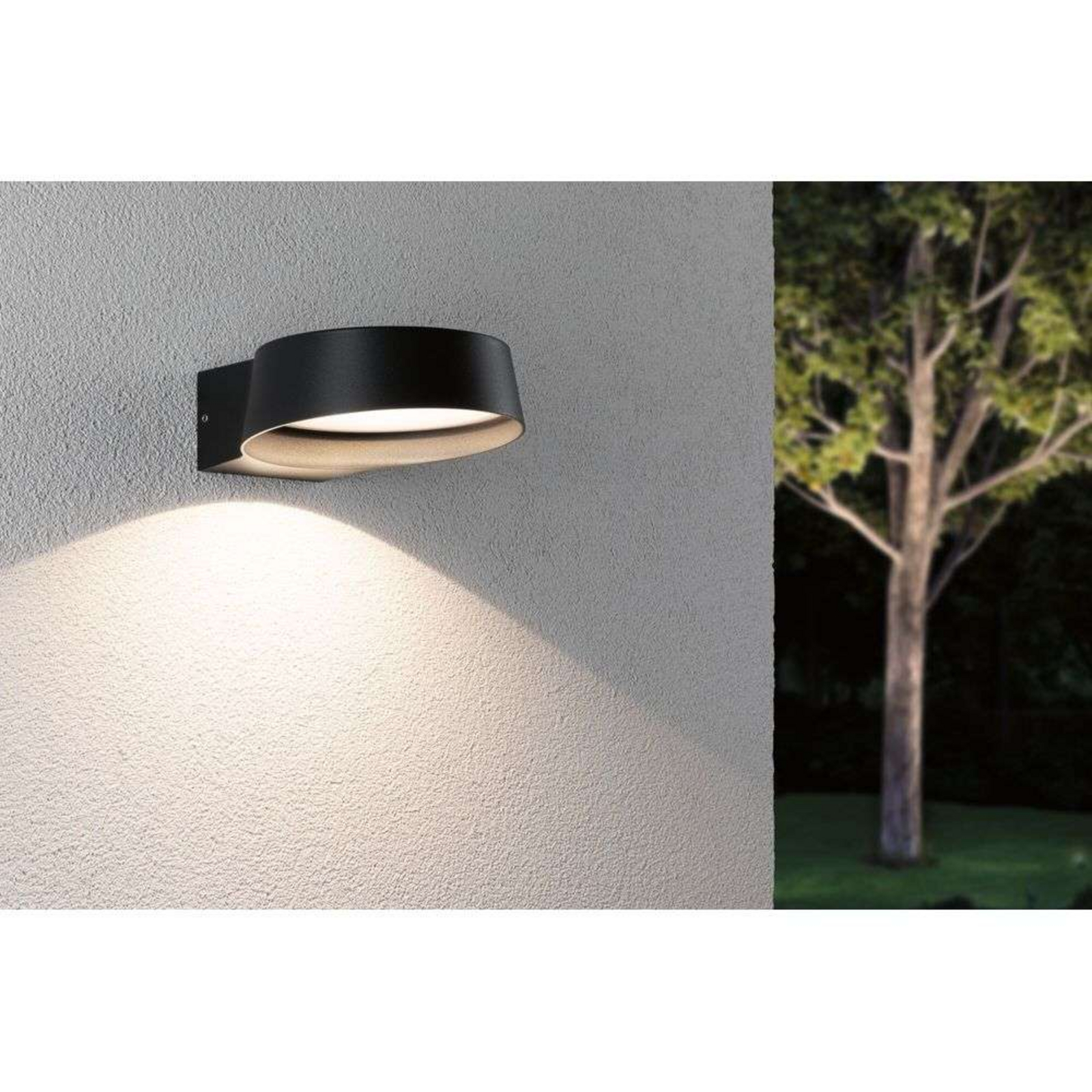 Capea Grand Outdoor Wall Lamp Anthracite - Paulmann