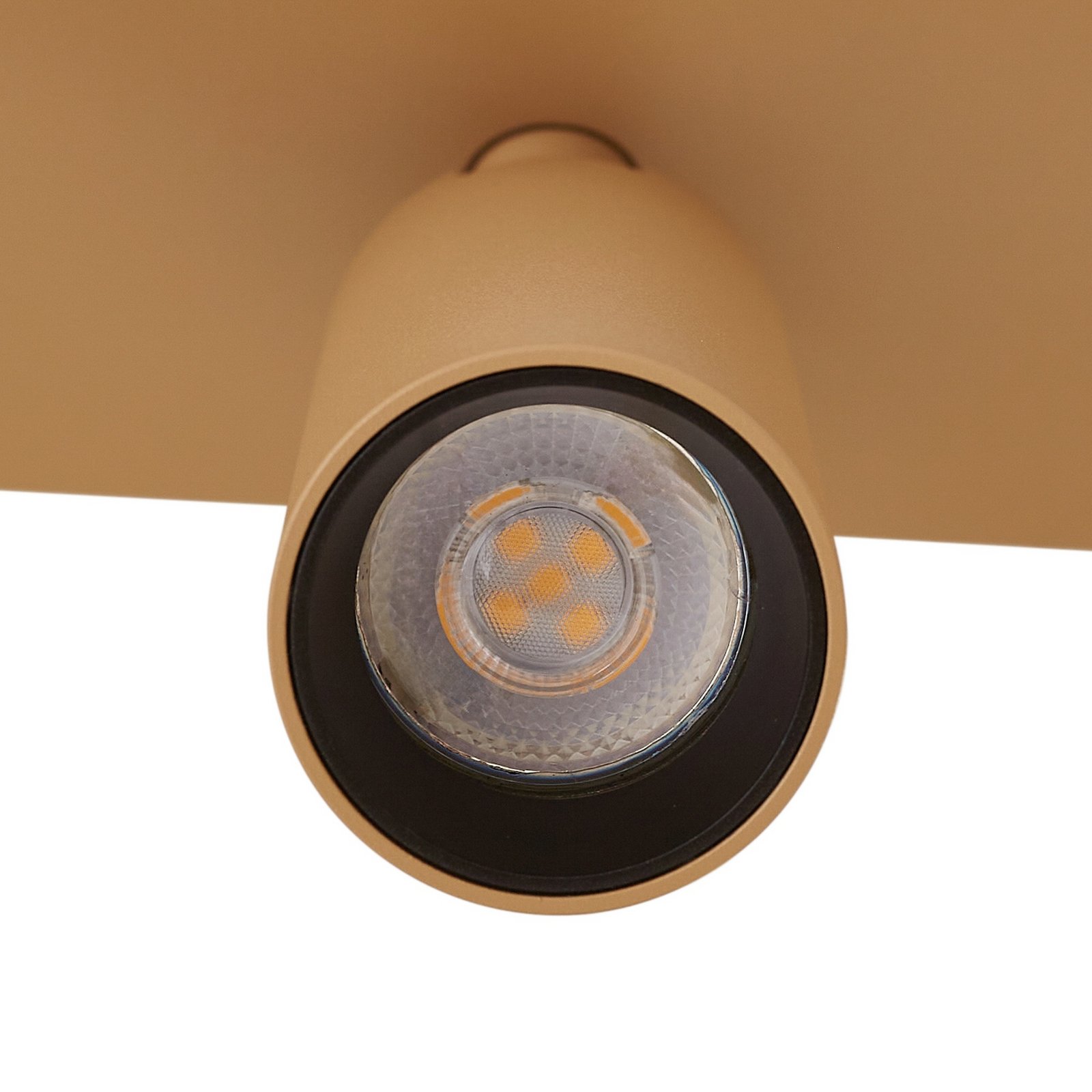 Arcchio Brinja Slim ceiling spotlight, brown, 2-bulb, GU10 MR11