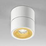Egger Clippo S foco de techo LED, blanco-oro
