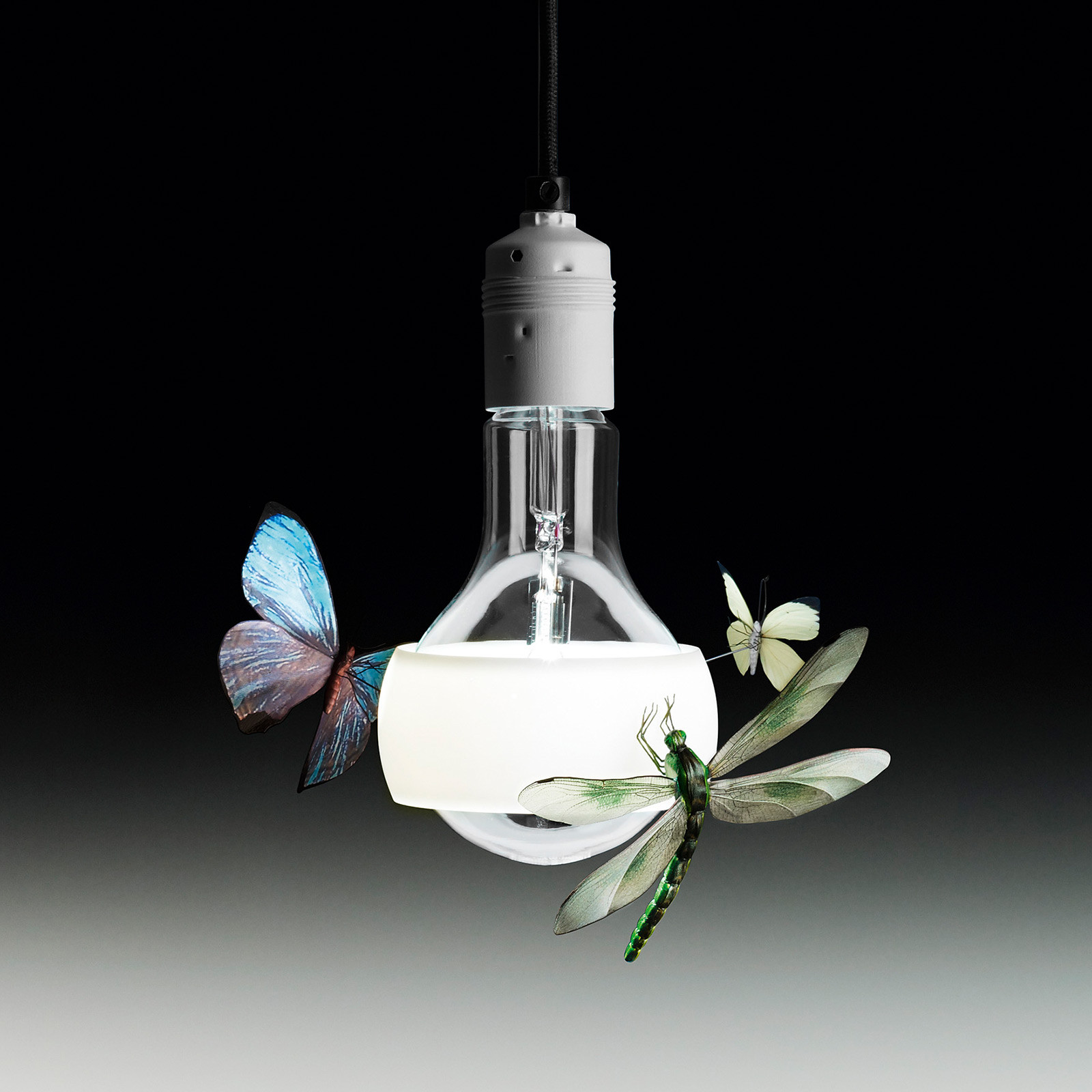 Ingo Maurer Johnny B. Butterfly lampă suspendată 170 cm - Camera de zi / sufragerie - Design - transparent colorat - Plastic