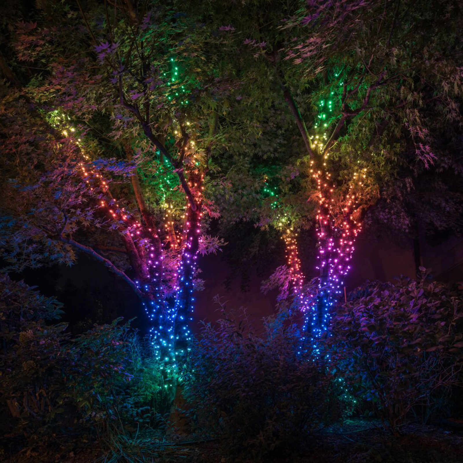 Lyslenke Twinkly RGB, svart, 250 lyskilder 20 m