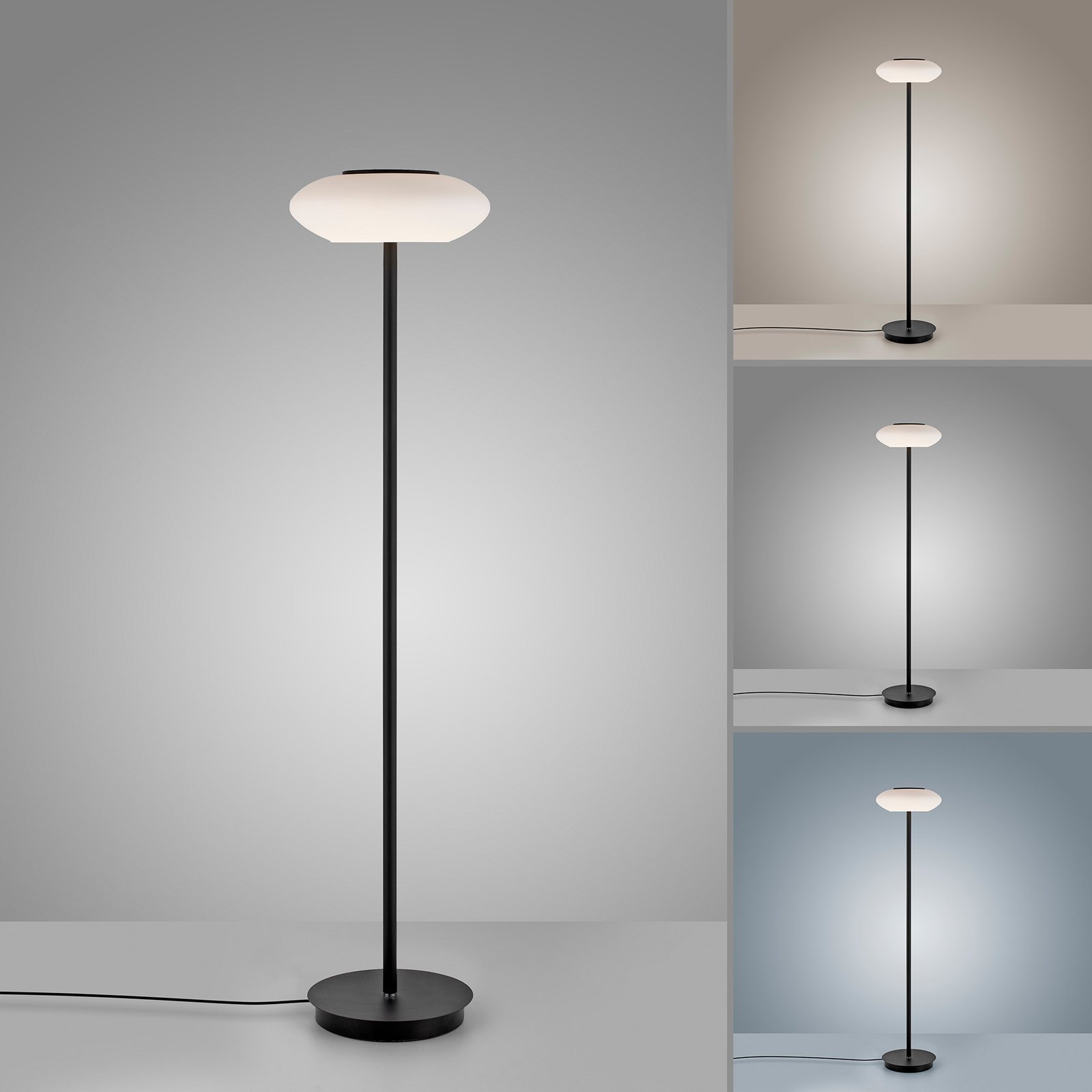 Paul Neuhaus Q-ETIENNE lampa stojąca LED, czarna