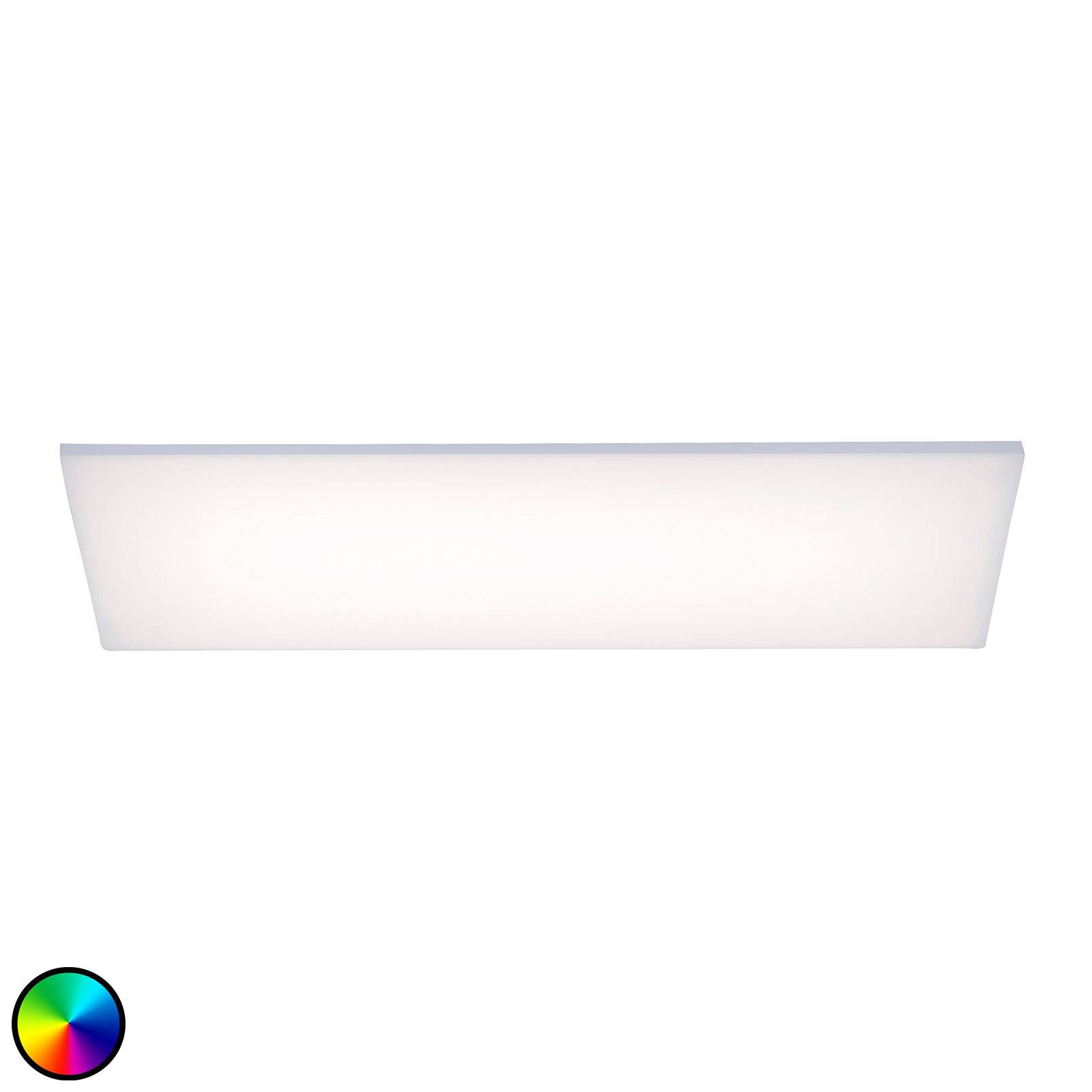 Paul Neuhaus Frameless loftlampe RGBW 60 x 30 cm