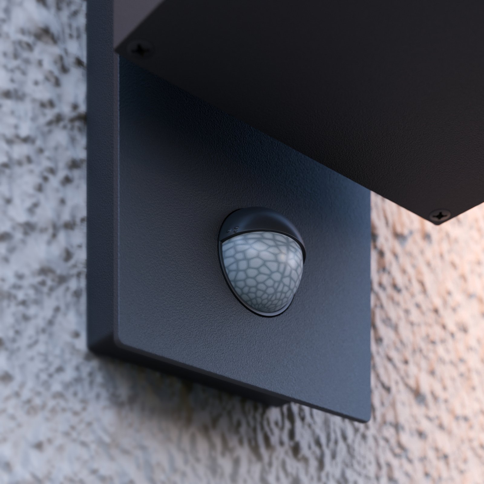 Ferdinand Outdoor Wall Lamp w/Sensor Dark Grey - Lucande