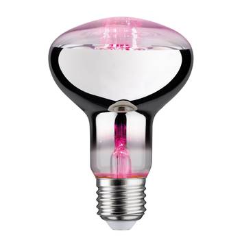 Ampoule pour plantes LED E27 R80 6,5 W