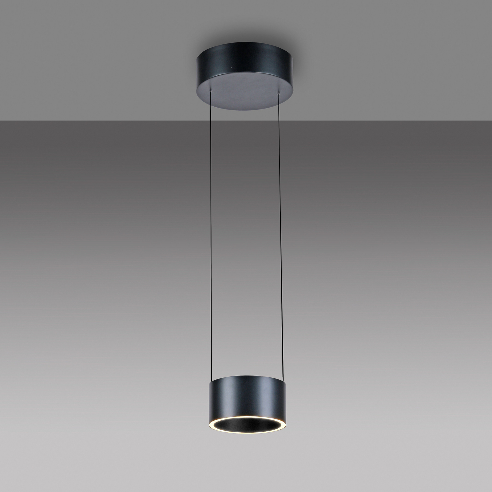 PURE LED-Pendellampe Clipse, grau, Ø 20 cm CCT Dimmer 2-flg