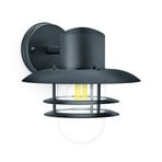 Philips buitenwandlamp Inyma