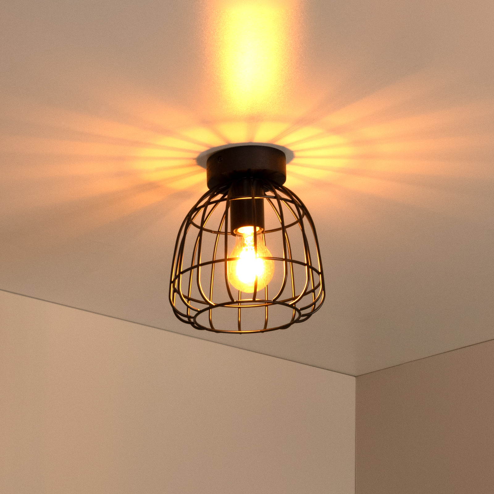 Filox ceiling light, cage lampshade, black