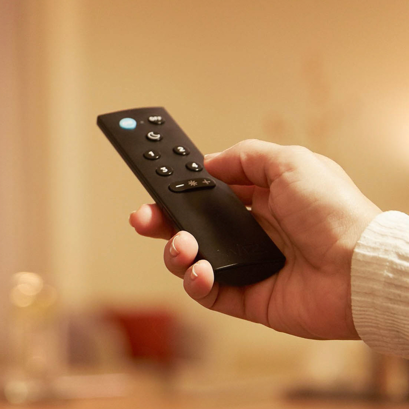 WiZ Remote Control w/Batteries - WiZ