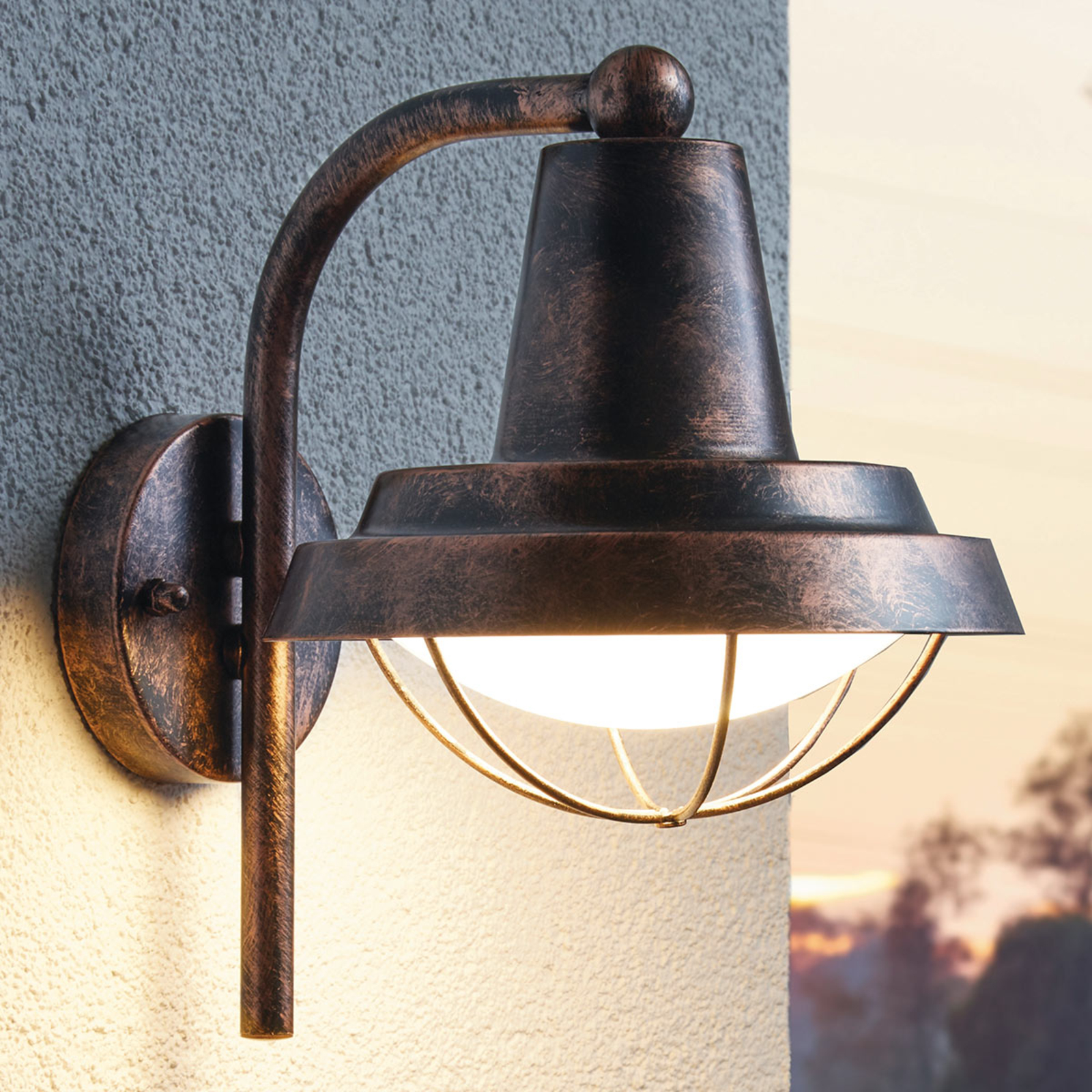 EGLO Rustic Colindres outdoor wall light, galvanised steel, plastic, E27, 60 W, energy efficiency: A++, W: 21.5 cm, H: 29 cm