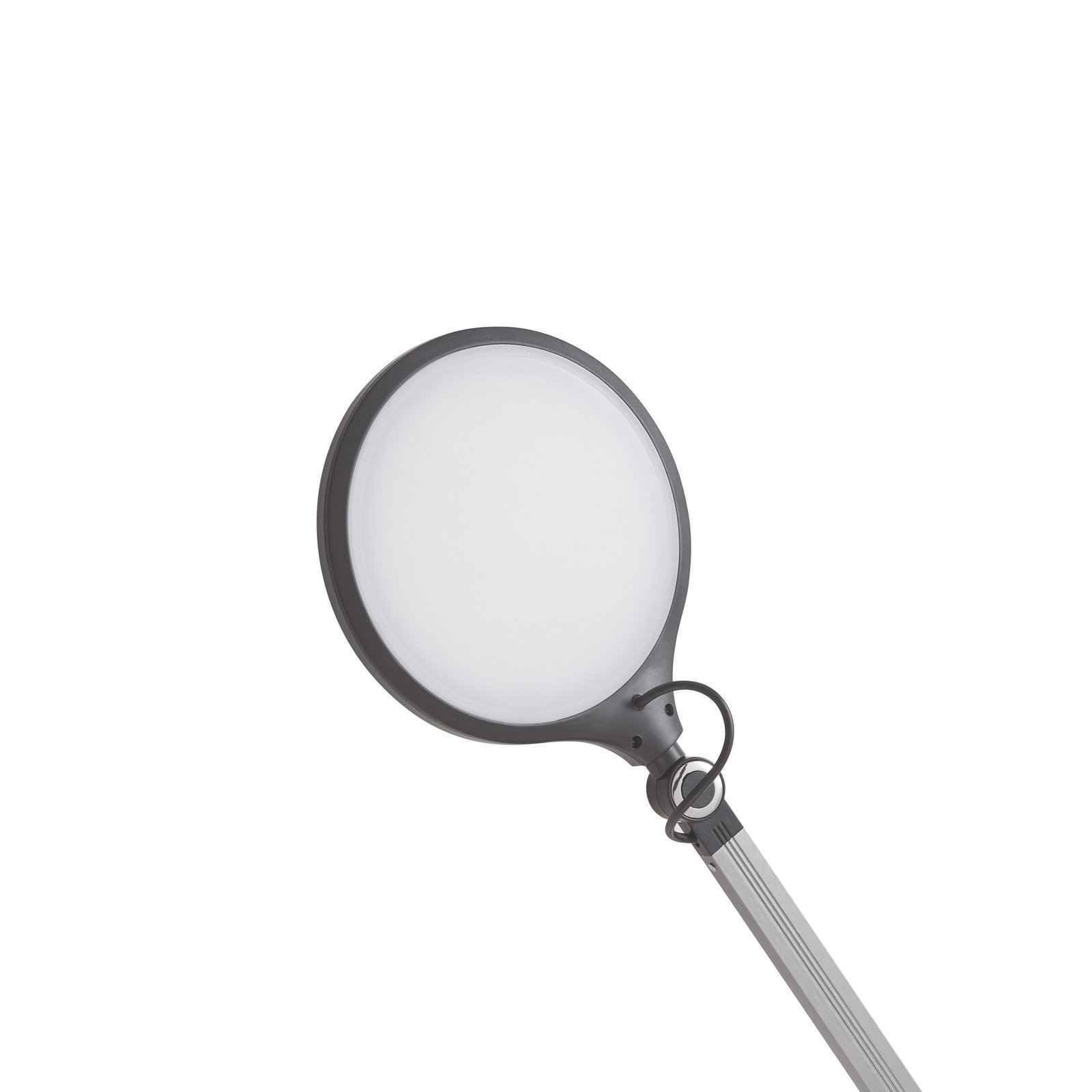 Nyxaris LED Lampa Stołowa w/Clamp CCT Grey - Lucande