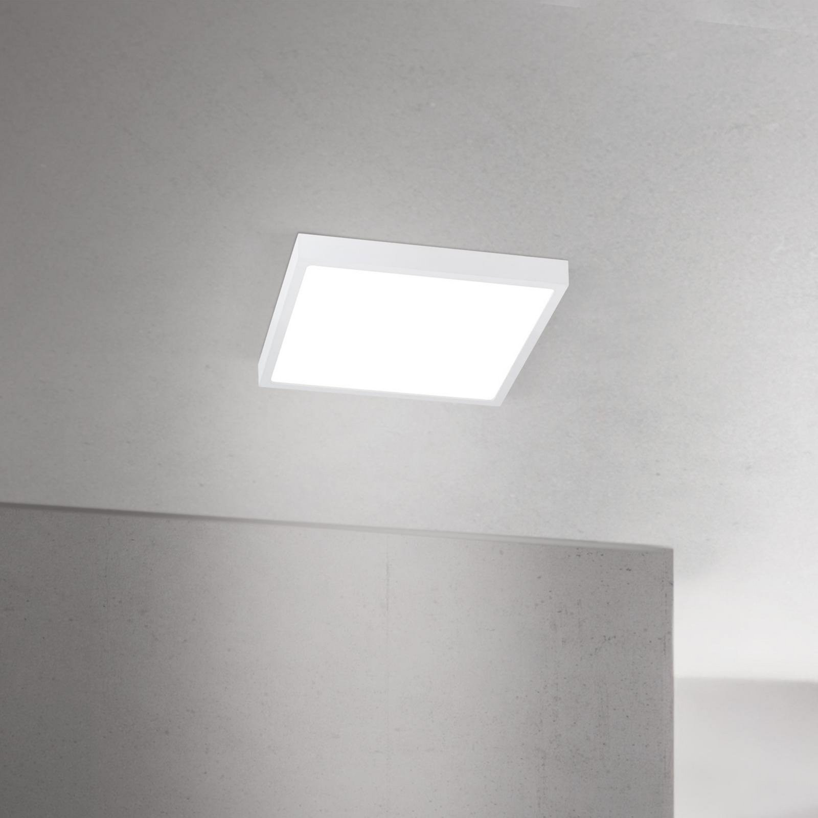 LED ceiling lamp Disc, white, length 24 cm, CCT, metal