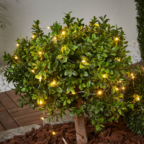 Dew Drop - catena luminosa solare da 250 cm