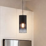 Robin track pendant light for DUOline, black/smoke grey