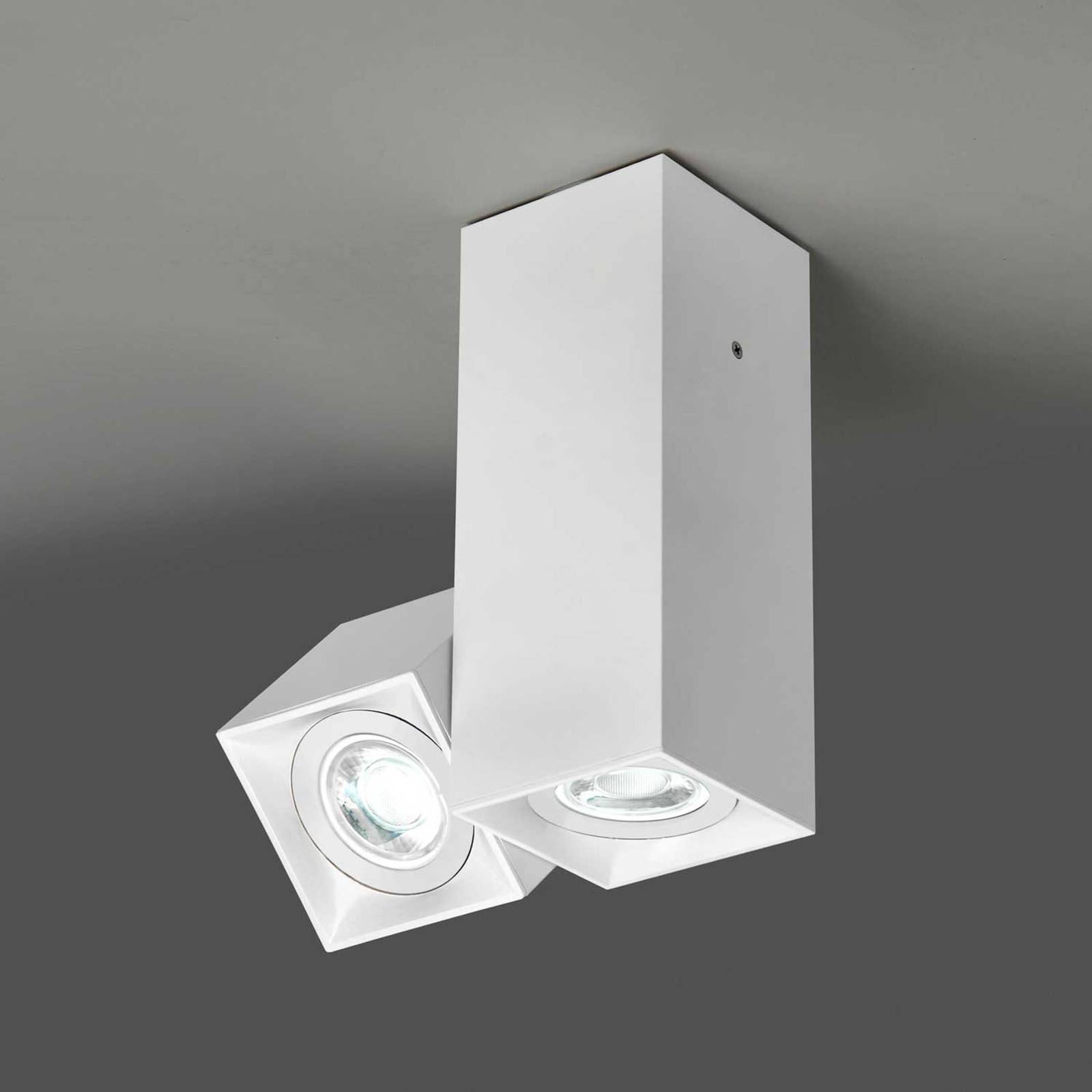 E-shop Milan Dau Spot stropné svietidlo 2-plameňové biela