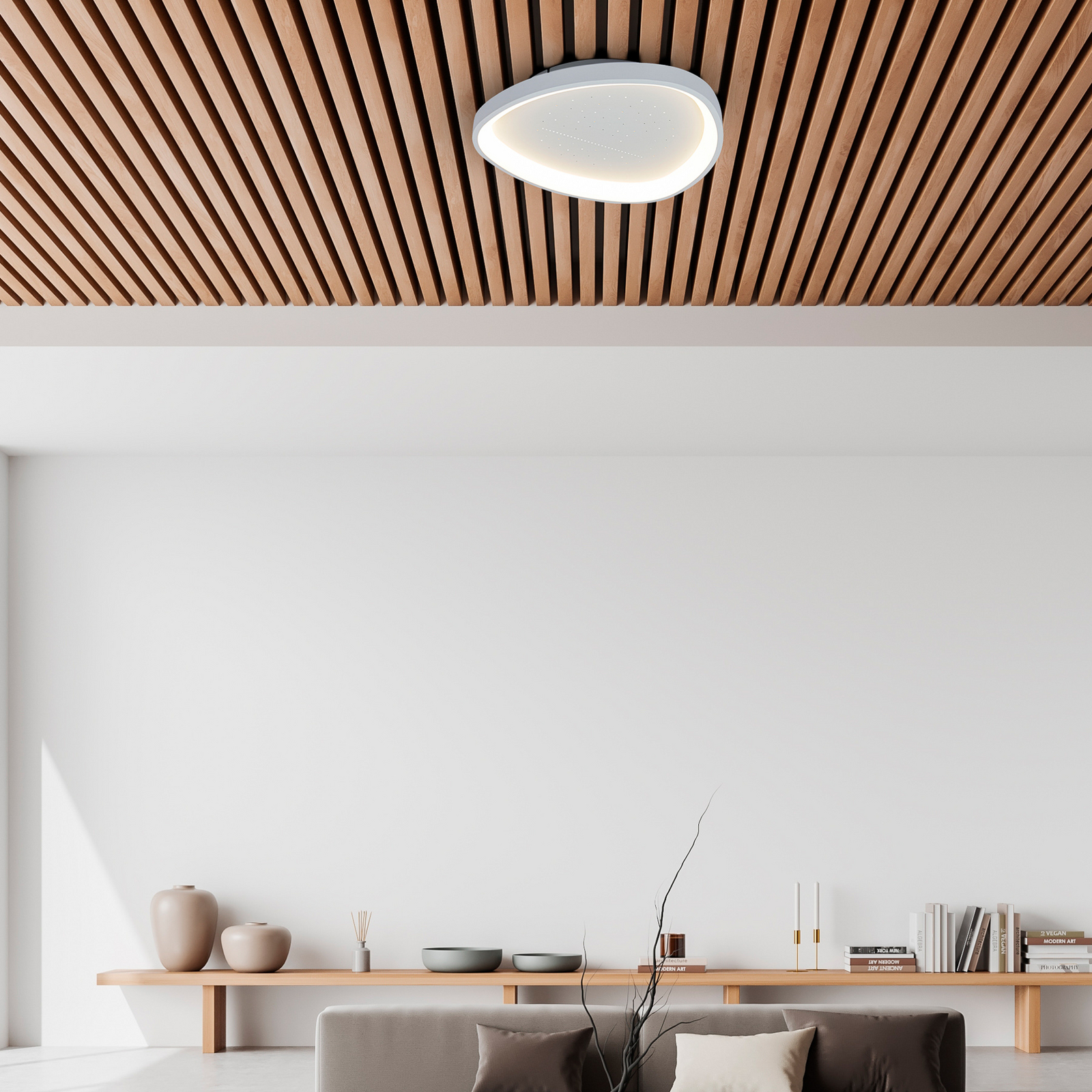 Argesa LED ceiling light, Ø 42 cm, white, CCT, remote control Argesa LED ceiling light, Ø 42 cm, white, CCT, remote control