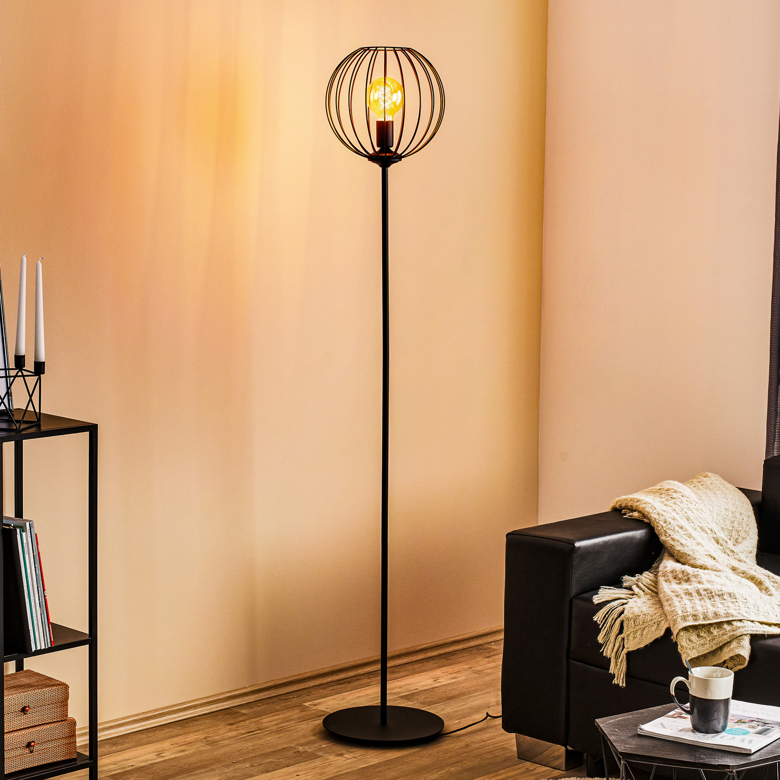 black caged filament floor lamp