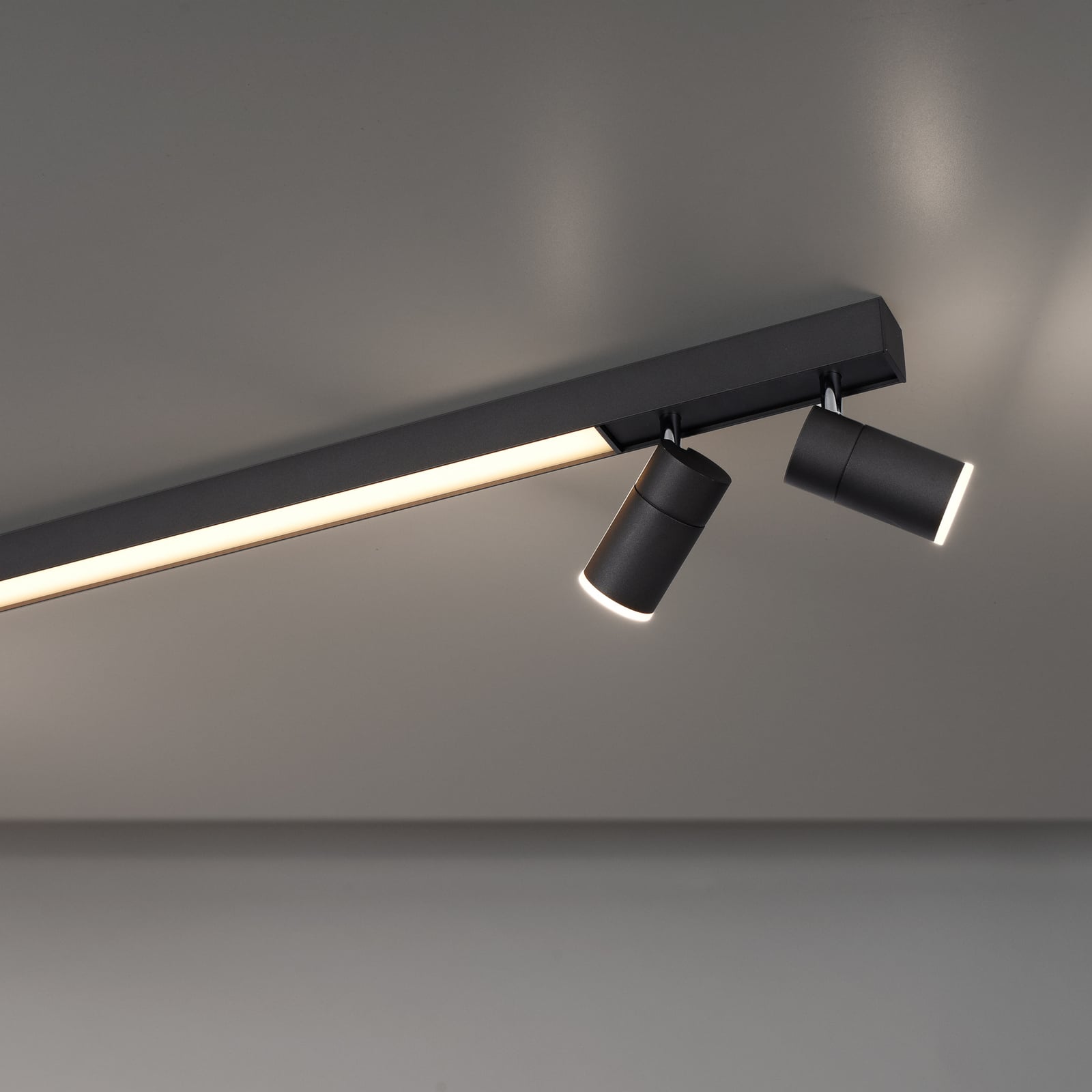 Lines Spot LED-Deckenlampe, 120 cm, graphite - PURE
