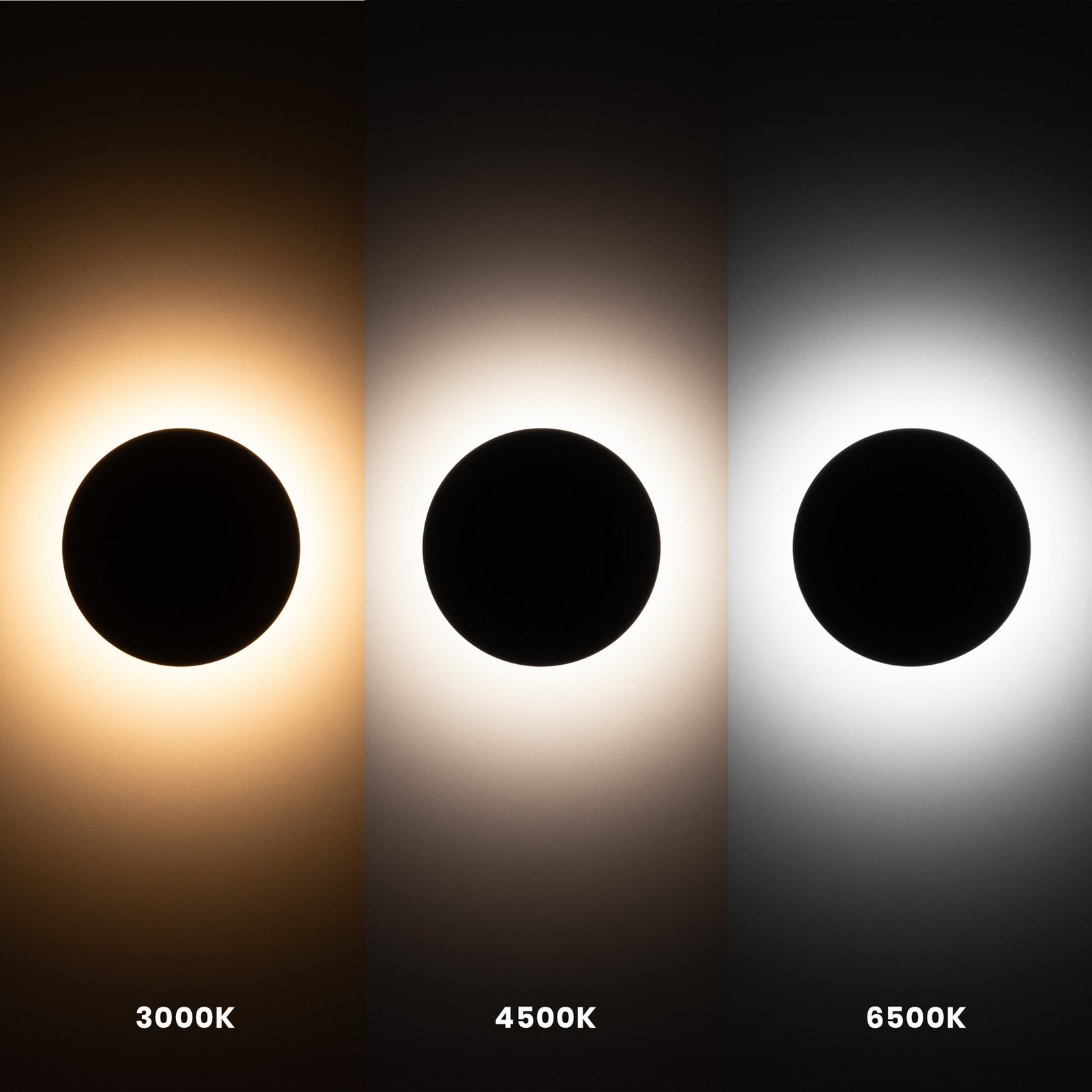 LED-Wandleuchte Disk, Ø 25cm, schwarz, Kunststoff, IP65, CCT