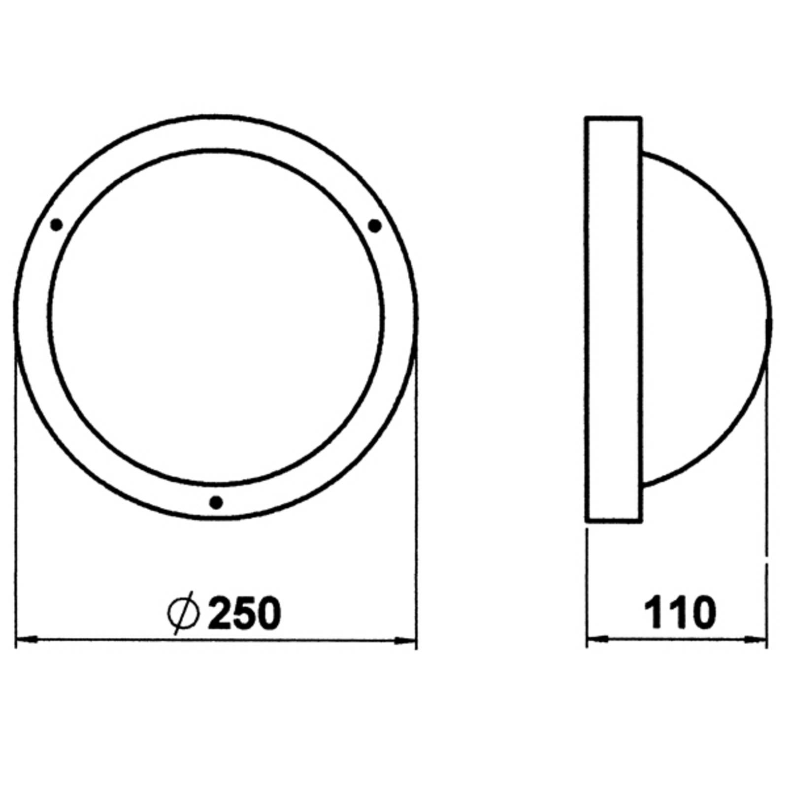 Albert Leuchten Applique / plafonnier d’extérieur 297 noir E27