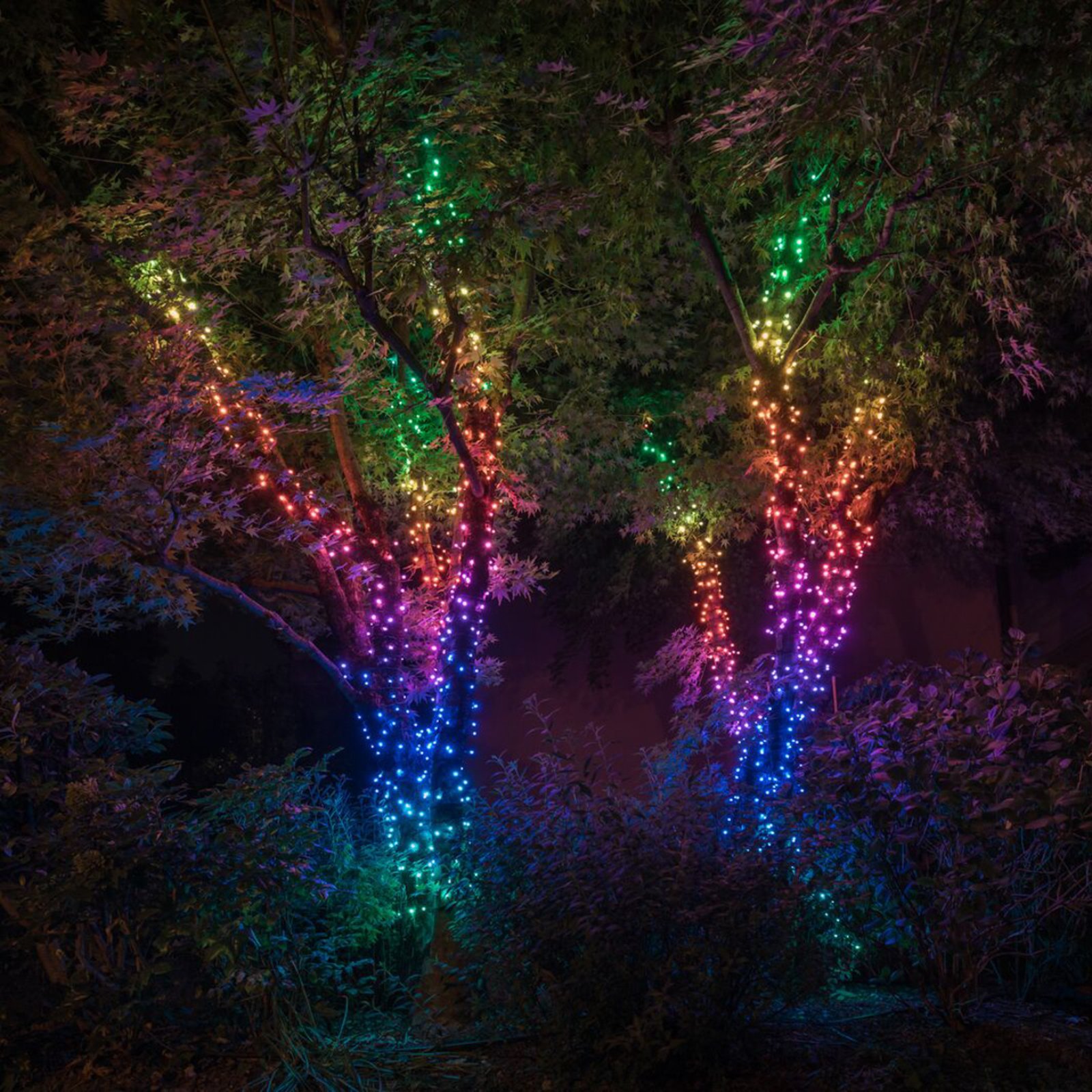 Twinkly RGB eventyrlys, svart, 100 lys, 8 m