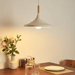 Pauleen hanglamp Pure Shine, wit/hout