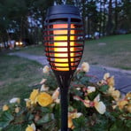 LED-Solar-Erdspießlampe FANILO, schwarz, 45 cm, 5er-Set IP44