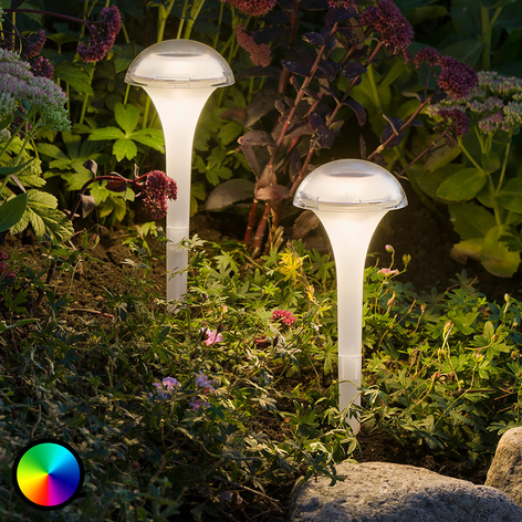 Färgrik LED-solarlampa Assisi med jordankare