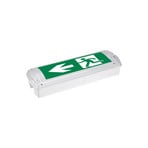 Hamm LED vluchtwegverlichting, inbouw, IP65 6500K