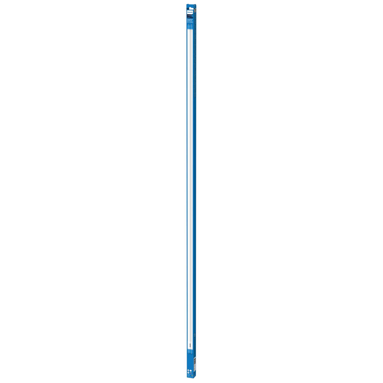 Żarówka rurkowa LED Philips G13 T8 19,5W 151,4cm 4000K