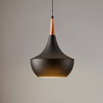 AV-4106-A7-BSY pendant light in an unusual shape