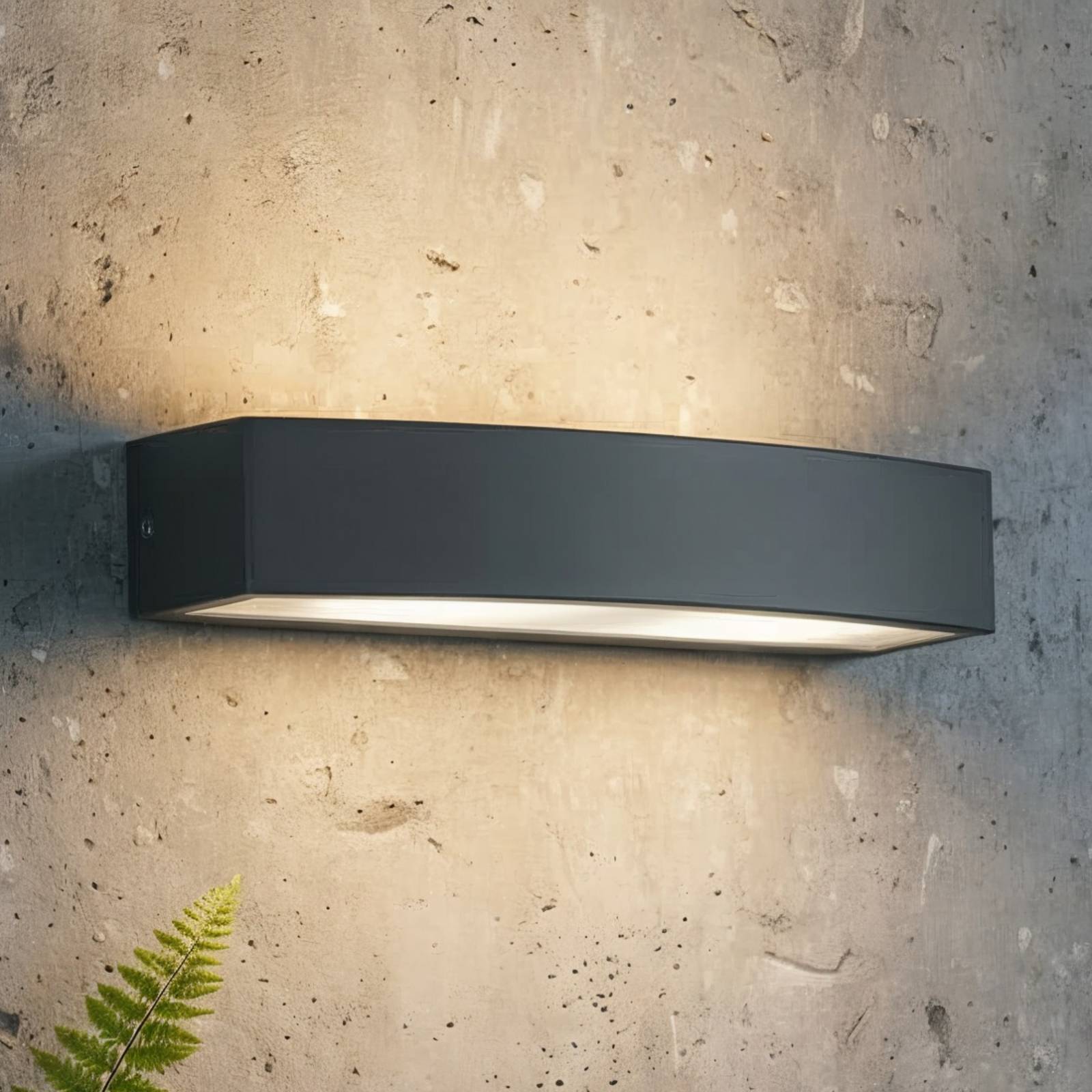 Ideallux Ideal Lux Applique d'extérieur Andromeda, anthracite, largeur 45 cm