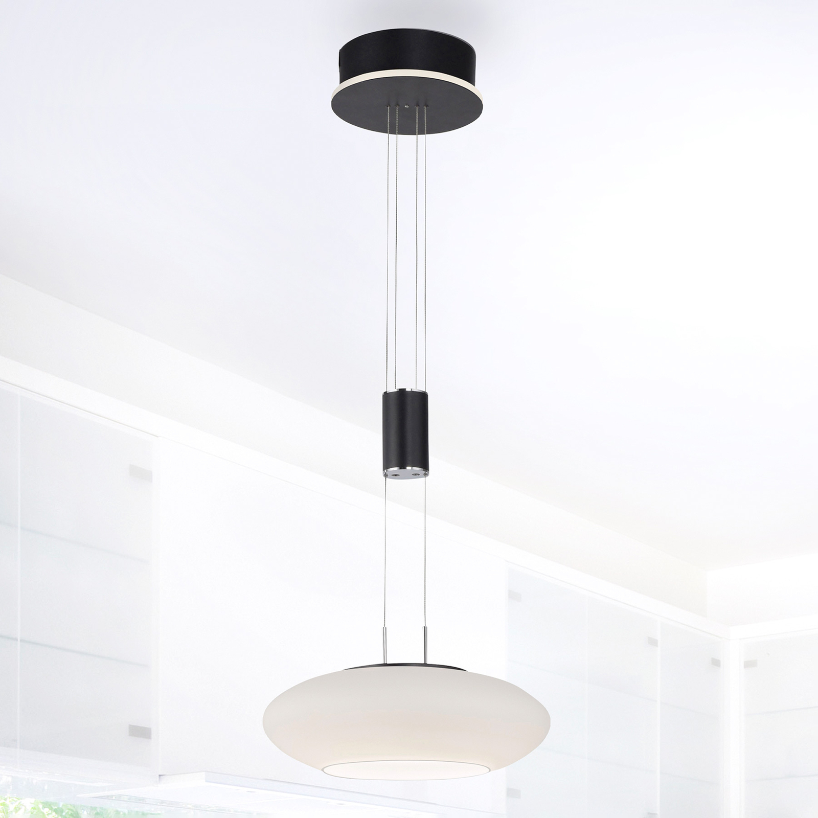 Paul Neuhaus Q-ETIENNE LED hanging light, 1-bulb